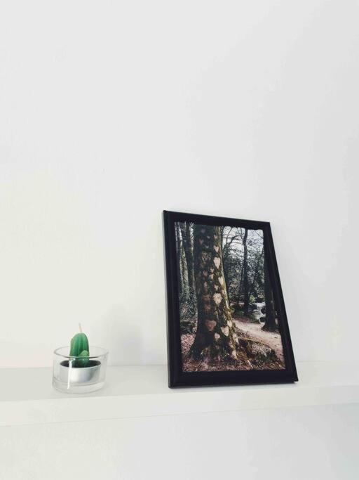 דירות סופלנה Precioso Apartamento Con Banera Hidromasaje מראה חיצוני תמונה
